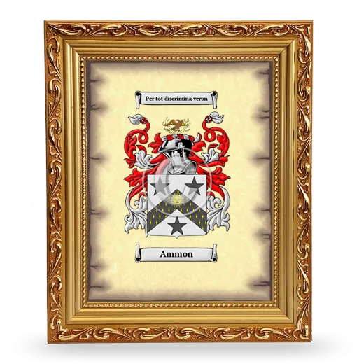 Ammon Coat of Arms Framed - Gold