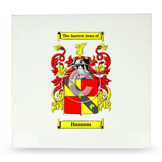Hannum Large Ceramic Tile with Coat of Arms