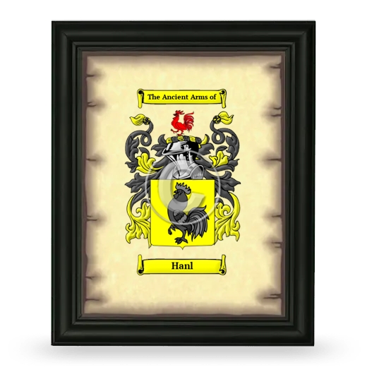 Hanl Coat of Arms Framed - Black