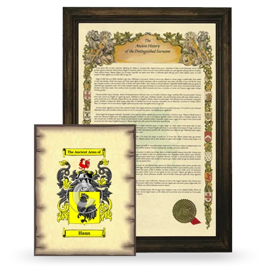 Hann Framed History and Coat of Arms Print - Brown