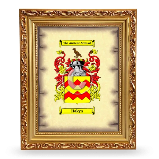 Hakyn Coat of Arms Framed - Gold