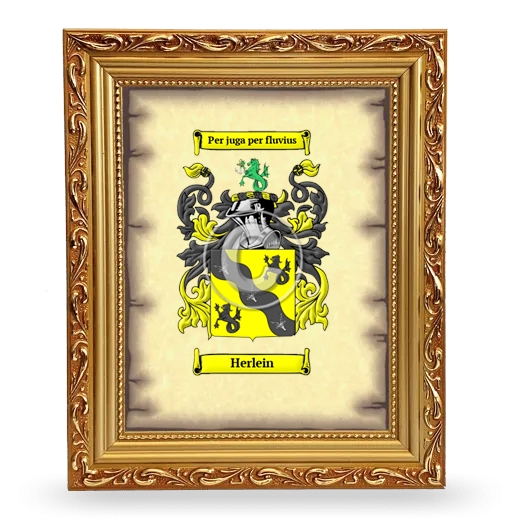 Herlein Coat of Arms Framed - Gold