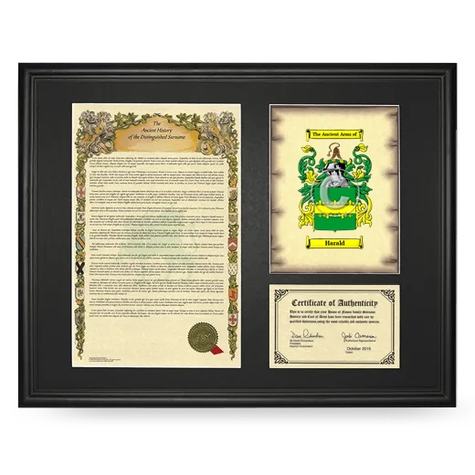 Harald Framed Surname History and Coat of Arms - Black