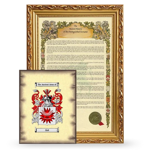 Ast Framed History and Coat of Arms Print - Gold