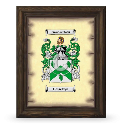 Hesseldyn Coat of Arms Framed - Brown