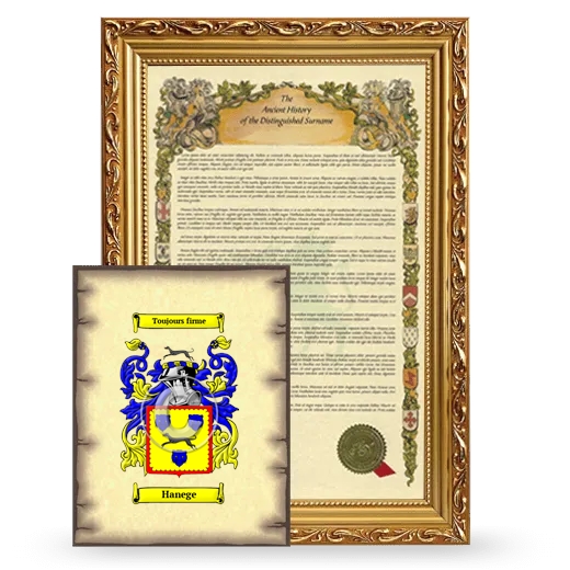 Hanege Framed History and Coat of Arms Print - Gold