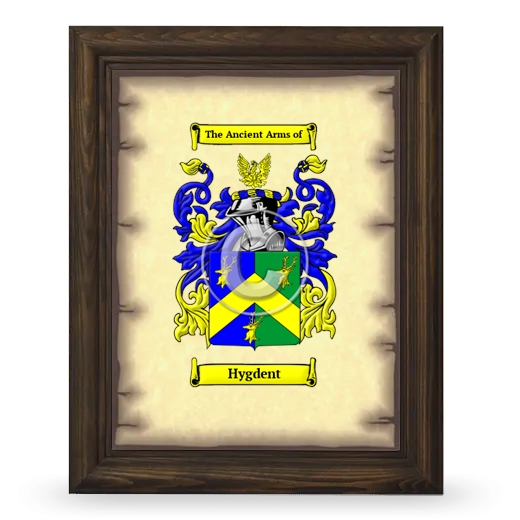 Hygdent Coat of Arms Framed - Brown