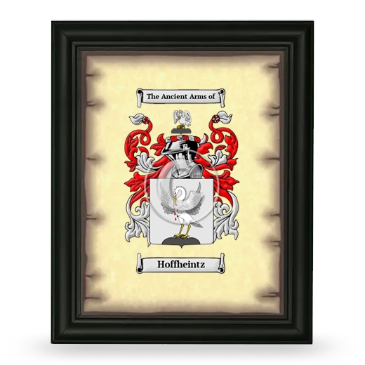 Hoffheintz Coat of Arms Framed - Black