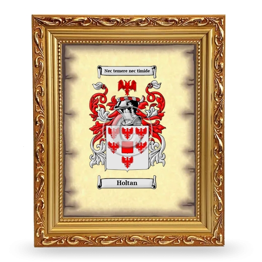 Holtan Coat of Arms Framed - Gold