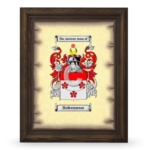 Holternesse Coat of Arms Framed - Brown