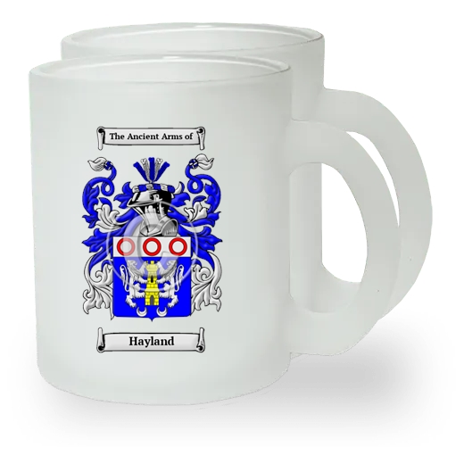 Hayland Pair of Frosted Glass Mugs