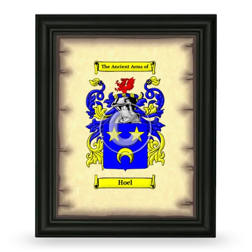 Hoel Coat of Arms Framed - Black