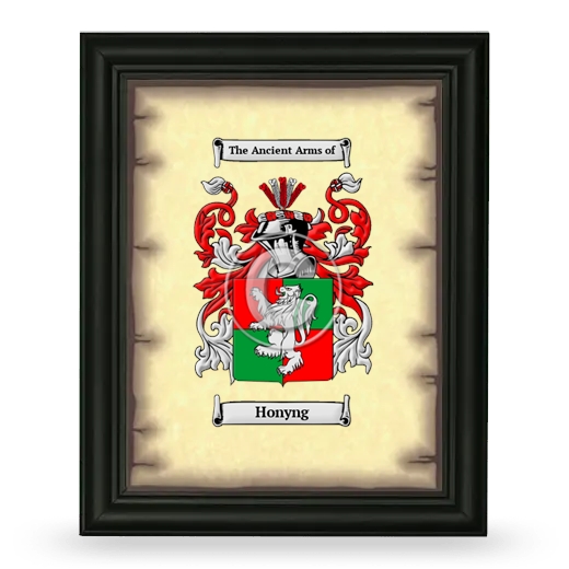 Honyng Coat of Arms Framed - Black