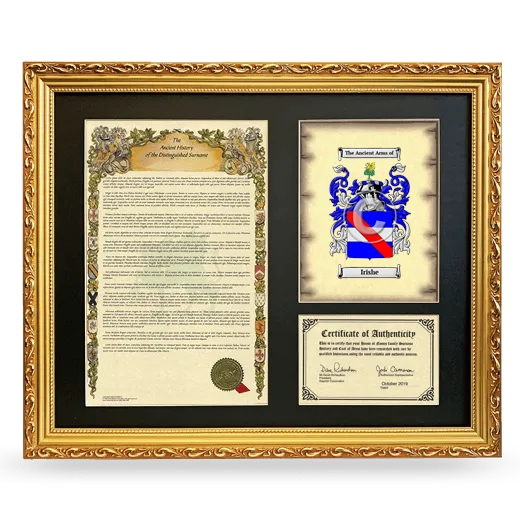 Irishe Framed Surname History and Coat of Arms- Gold