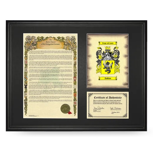 Jinkins Framed Surname History and Coat of Arms - Black