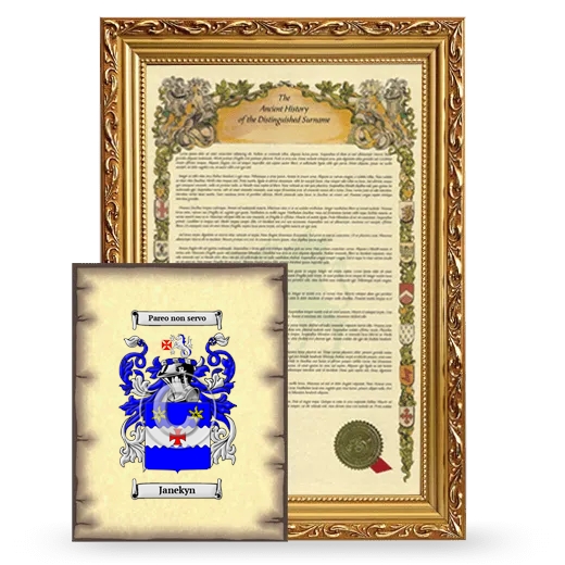 Janekyn Framed History and Coat of Arms Print - Gold