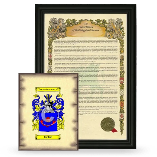 Kieferl Framed History and Coat of Arms Print - Black