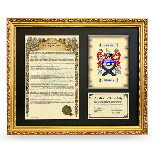 Gillpatreck Framed Surname History and Coat of Arms- Gold