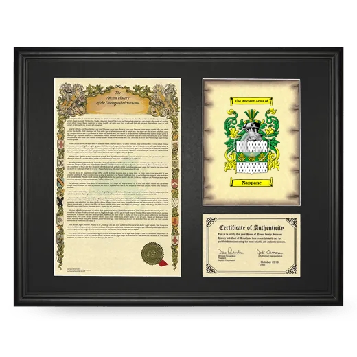 Nappane Framed Surname History and Coat of Arms - Black