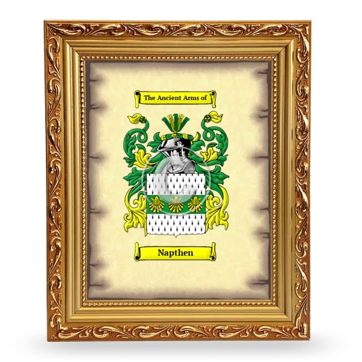 Napthen Coat of Arms Framed - Gold