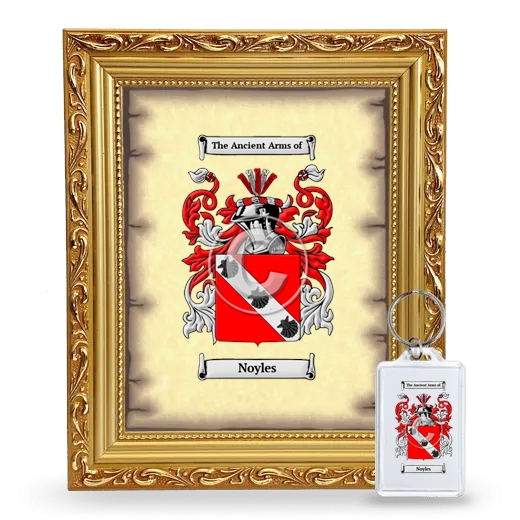 Noyles Framed Coat of Arms and Keychain - Gold