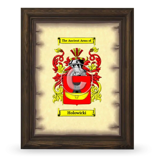 Holowicki Coat of Arms Framed - Brown