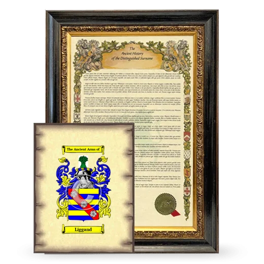 Liggand Framed History and Coat of Arms Print - Heirloom