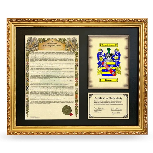 Liggens Framed Surname History and Coat of Arms- Gold