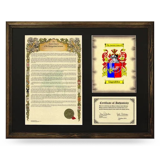 Lingenfelter Framed Surname History and Coat of Arms - Brown