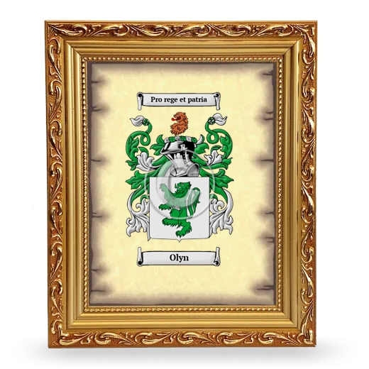 Olyn Coat of Arms Framed - Gold