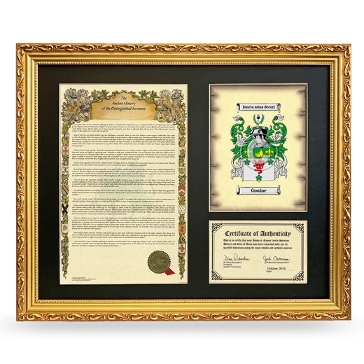 Gouine Framed Surname History and Coat of Arms- Gold