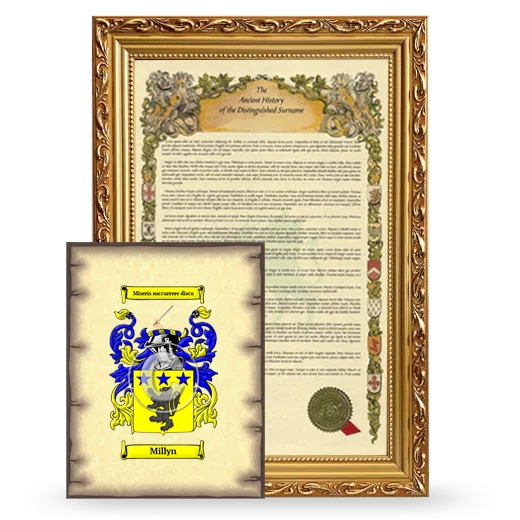 Millyn Framed History and Coat of Arms Print - Gold