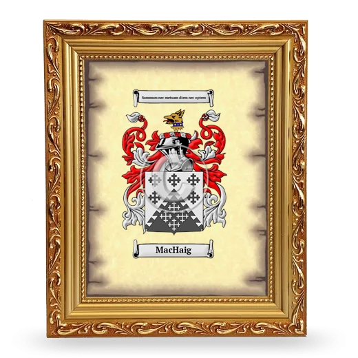 MacHaig Coat of Arms Framed - Gold