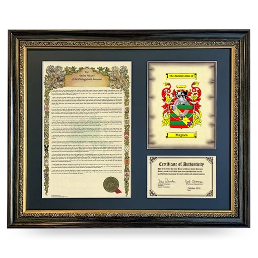 Magnes Framed Surname History and Coat of Arms- Heirloom