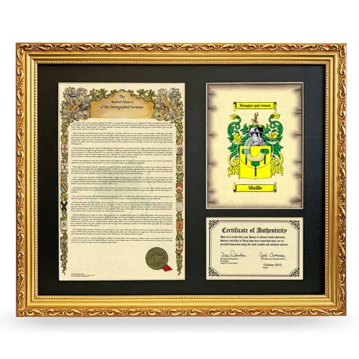 Maille Framed Surname History and Coat of Arms- Gold