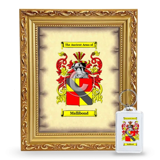 Mallibond Framed Coat of Arms and Keychain - Gold