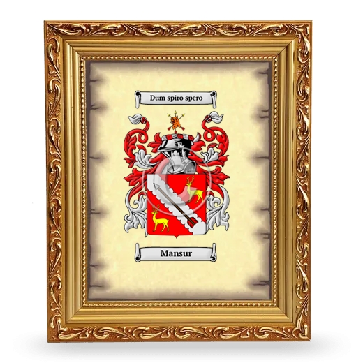 Mansur Coat of Arms Framed - Gold