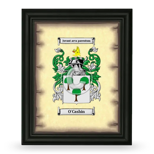 O'Cashin Coat of Arms Framed - Black