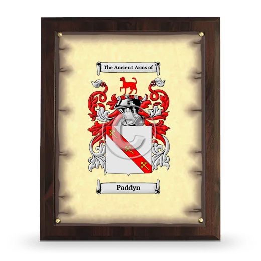 Paddyn Coat of Arms Plaque