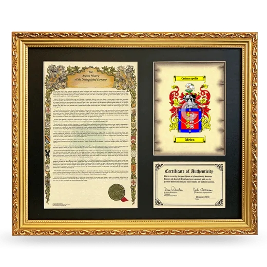 Meira Framed Surname History and Coat of Arms- Gold