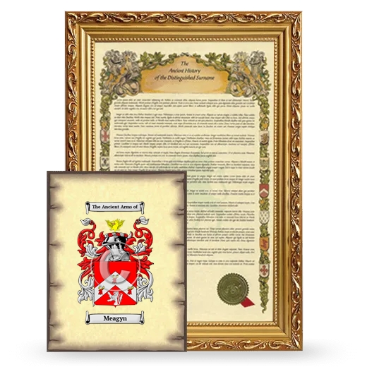 Meagyn Framed History and Coat of Arms Print - Gold