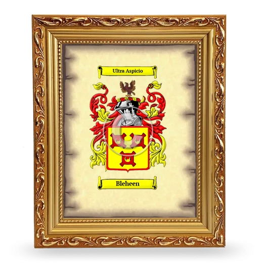 Bleheen Coat of Arms Framed - Gold