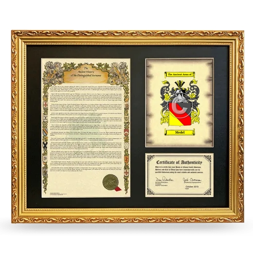 Medel Framed Surname History and Coat of Arms- Gold