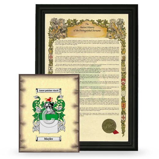 Mayler Framed History and Coat of Arms Print - Black