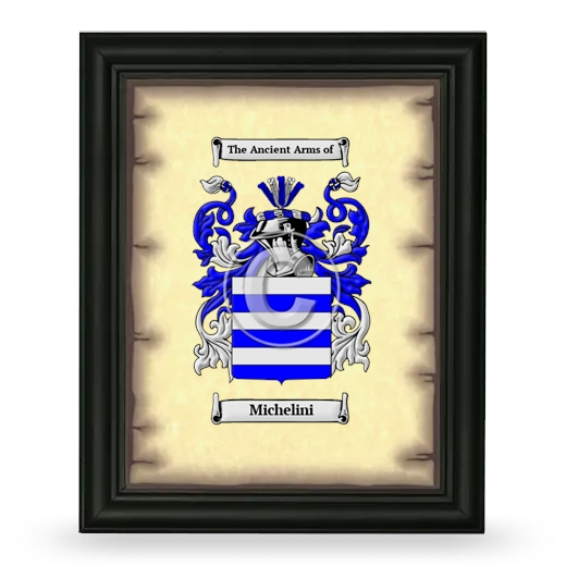 Michelini Coat of Arms Framed - Black