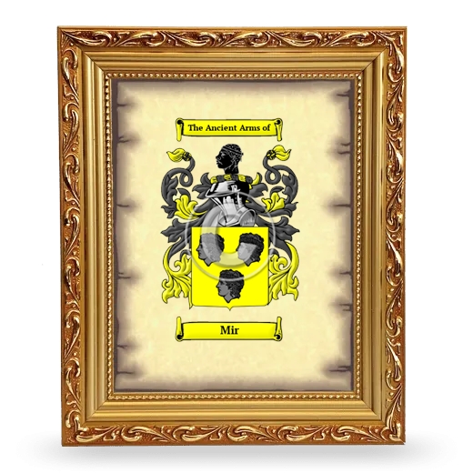 Mir Coat of Arms Framed - Gold
