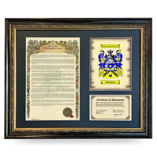 Monteleon Framed Surname History and Coat of Arms- Heirloom