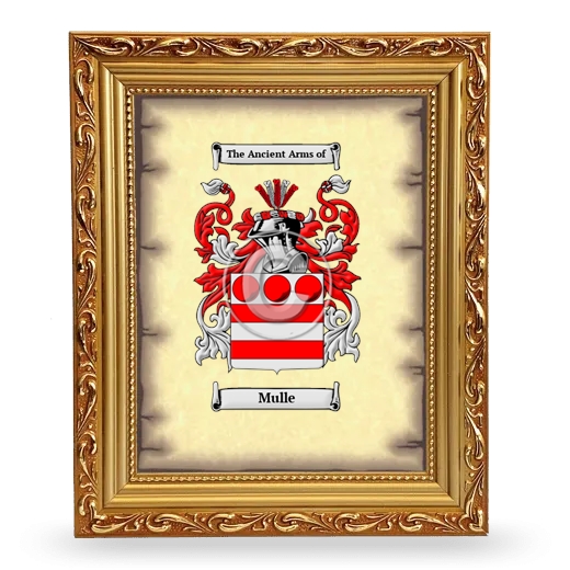 Mulle Coat of Arms Framed - Gold