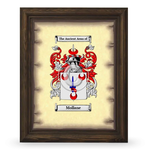 Mollane Coat of Arms Framed - Brown