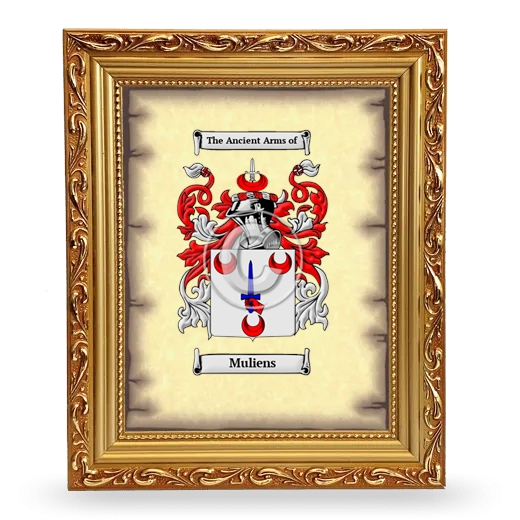 Muliens Coat of Arms Framed - Gold